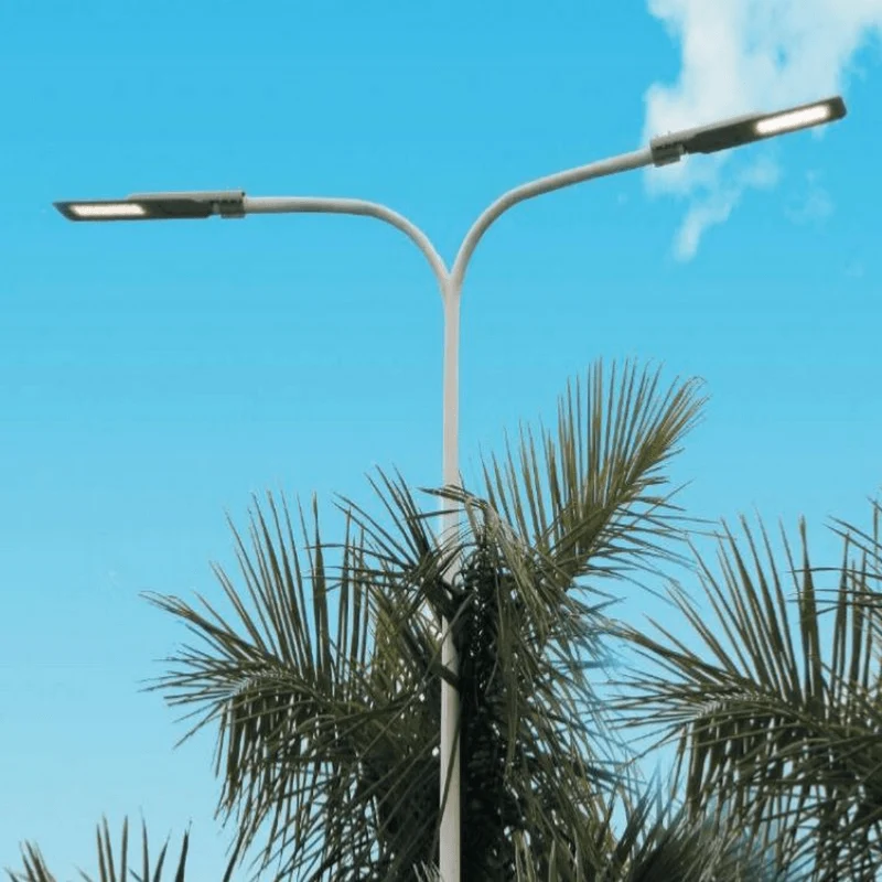 Luminaire LED urbain solaire 20W IP65