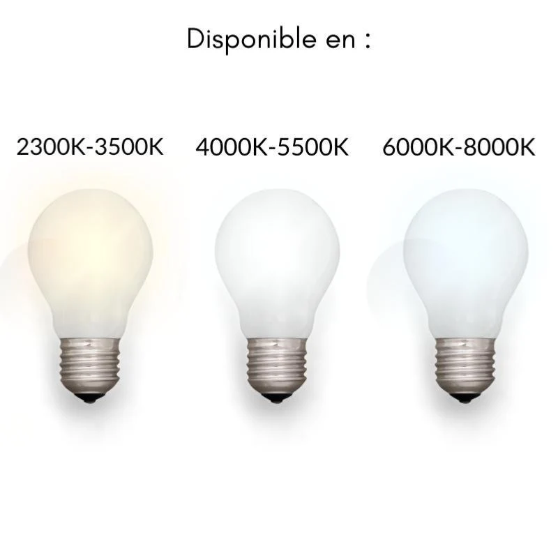 Tube Néon LED T5 90cm 9.6W 2 Têtes