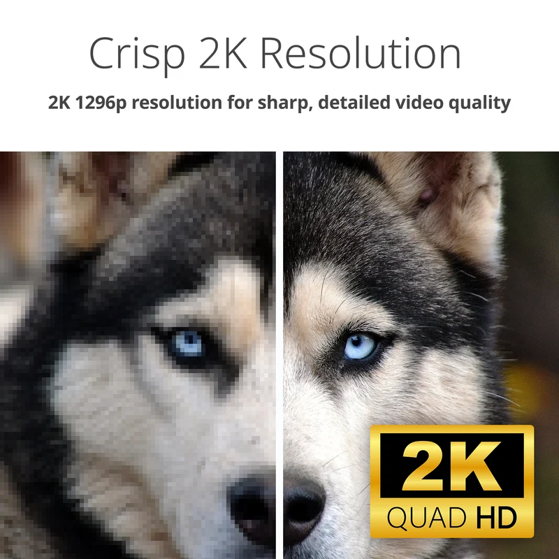 2K Pan & Tilt Wi-Fi 6 Camera - DCS-6501LH