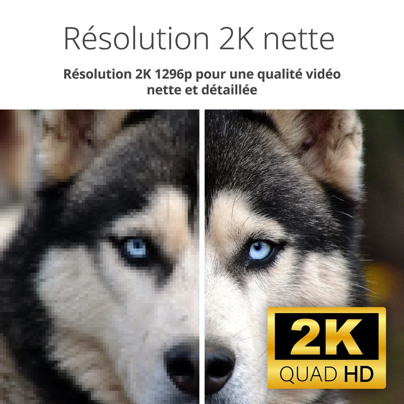 2K Pan & Tilt Wi-Fi 6 Camera - DCS-6501LH