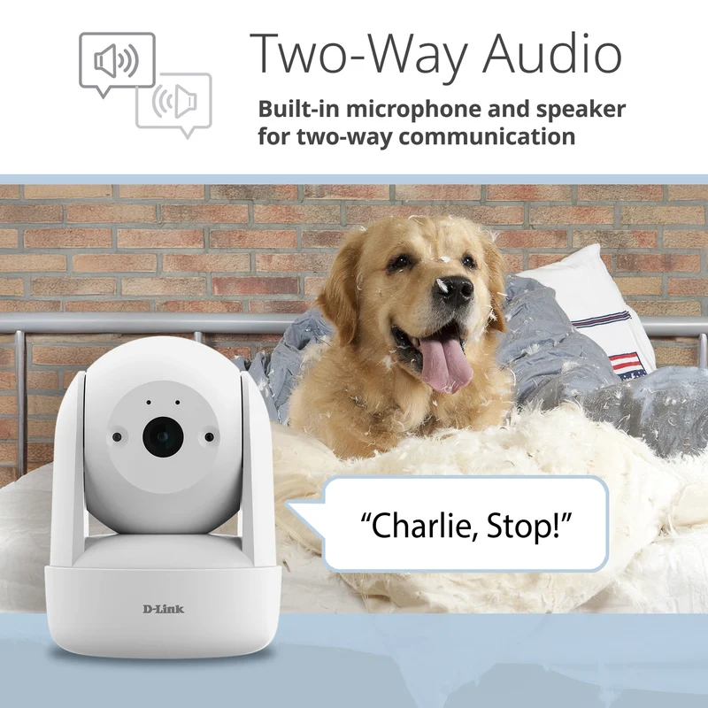 2K Pan & Tilt Wi-Fi 6 Camera - DCS-6501LH