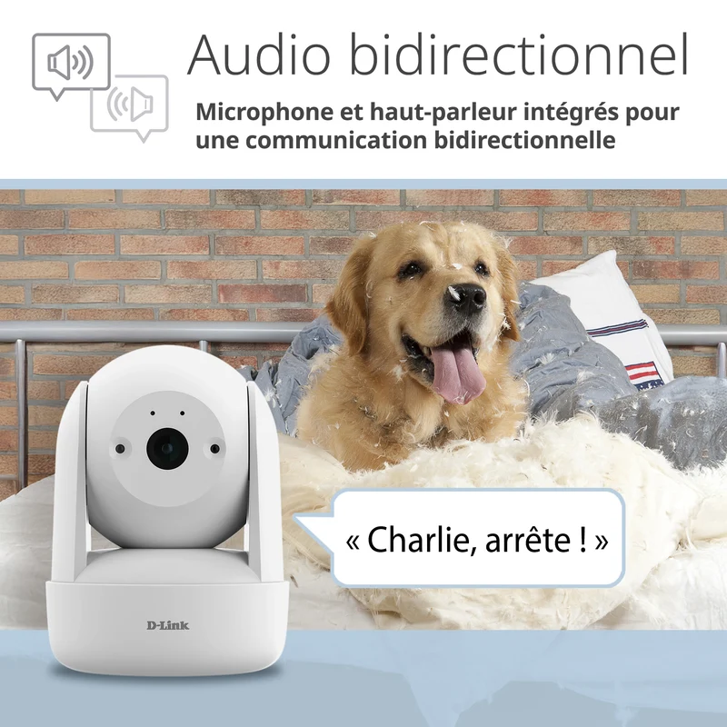 2K Pan & Tilt Wi-Fi 6 Camera - DCS-6501LH