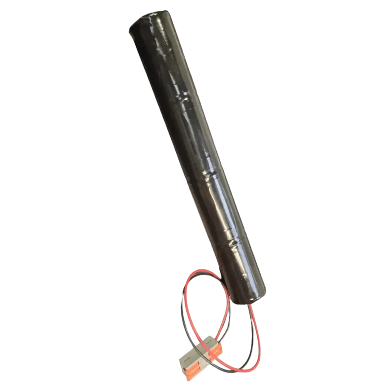 Pile alcaline 6V 18Ah 4LR20 pour alarme piscine ACIS DSM1.0