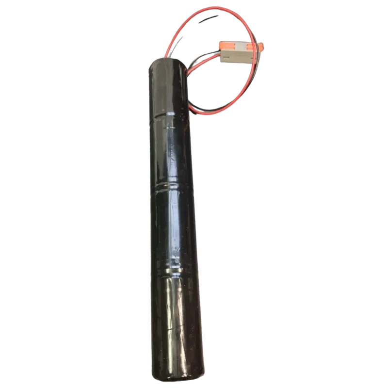 Pile alcaline 6V 18Ah 4LR20 pour alarme piscine ACIS DSM1.0