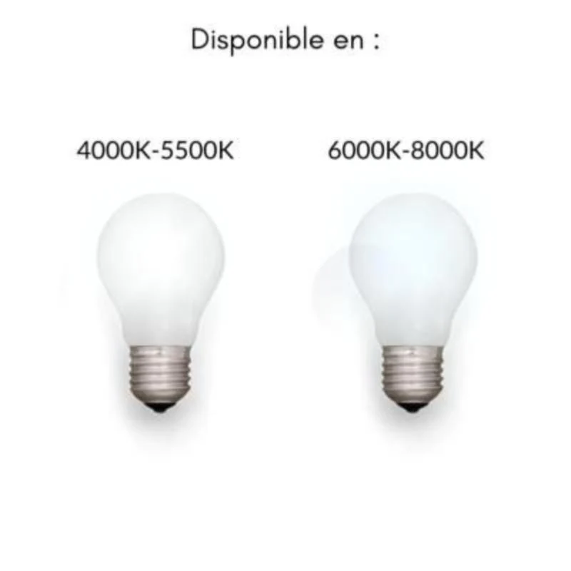 Tube néon LED 60cm T5 9W - Pack de 10