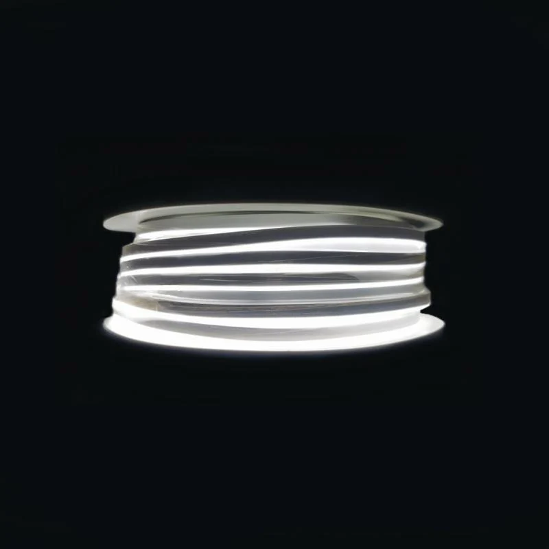 Néon Flexible LED 24V 50M IP65 120LED/m