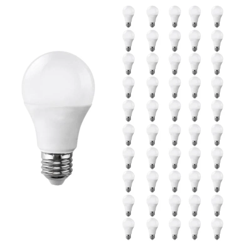 Ampoule LED E27 20W 220V A80 - Pack de 50