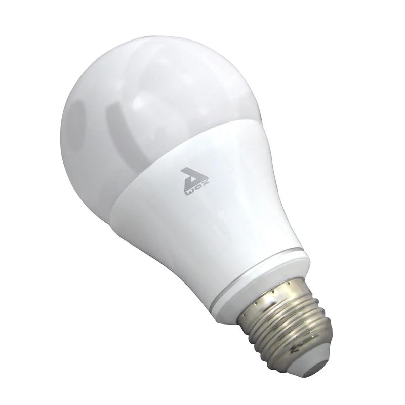 2 ampoules LED connectées E14/E27 5W Bluetooth + interrupteur Smart Pebble - Chacon